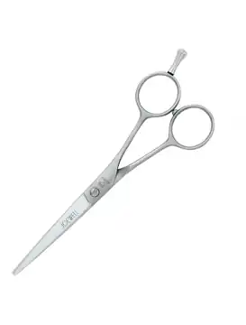 Joewell Classic Pro Hairdressing Scissors