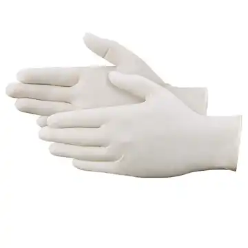 Disposable Latex Powder Free Gloves (100)